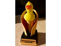 Programmer Duck 3D model