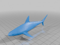 Shark 3D model