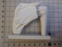 Dynamic Shoulder Rotator Cuff - Simpler Build 3D model