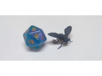 Fly - Giant 3D model