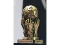 FIFA Peace Prize 3D model