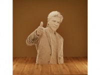 Statue Sharukh  3D model