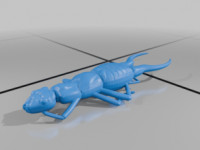 Earwig 3D model