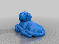 doggy_dude 3D model