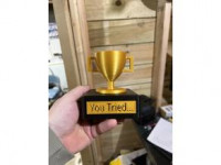 You Tried Trophy 3D model