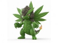 Cannablaze pokemon 3D model