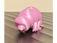 water bear (tardigrade) 3D model