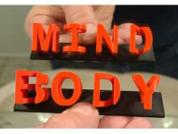 Mirror-Text "BODY and MIND" 3D model