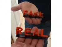 Mirror Text "REAL" and "FAKE" 3D model
