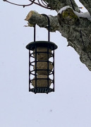 Bird fatball feeder version 2 3D model