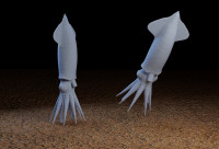Firefly Squid 3D model