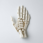 Skull Hand 3D model