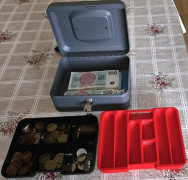 Mincovník (CZK) 3D model