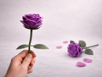 Velvet Petal 3D model