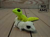 Flexi Gecko 3D model