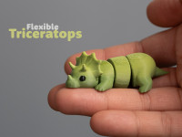 Flexi Triceraptops-Articulated 3D model