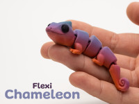 Flexi Chameleon 3D model