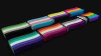 Pride Flags Magnets/Pins 3D model