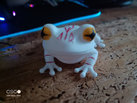 grenouille 3D model