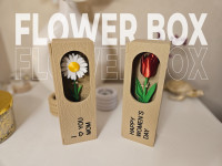 Flower Box 3D model