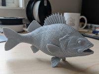 Perch – Standalone Fish Statue 3D model