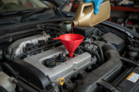 Flexible TPU Funnels 3D model