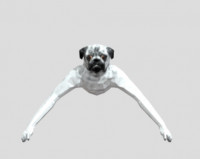 animal company pug 3D model