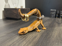 Geico ring holder 3D model