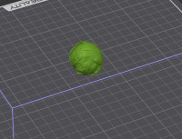 Brussels Sprout – Realistic 3D Model 3D model