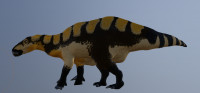 Istiorachis 3D model