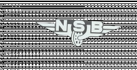 NSB logo 3D model