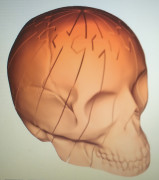 twist skull 3D model