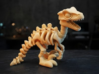 Skeletal Articulated Velociraptor 3D model