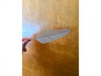 Parametric feather 3D model