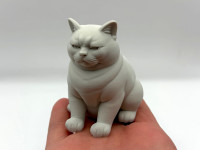 Not Amused Cat 3D model