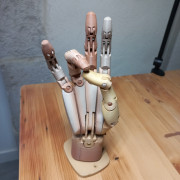 Articulated Hand 3D model