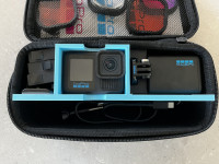 GoPro Case Insert/organizer 3D model