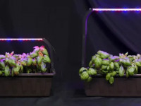 Plant box LED holder adjustable 3D model