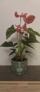Decorative planter 3D model