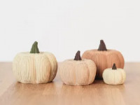 Pumpkin Decoration 3D model