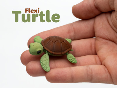 Flexible Turtle 3D model