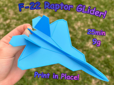 F-22 Raptor Glider 3D model
