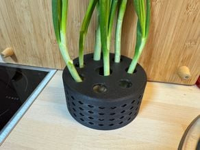 Spring onion irrigation system 3D model
