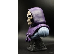 Skeletor Bust 3D model