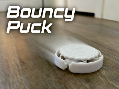 Bouncy Puck 3D model