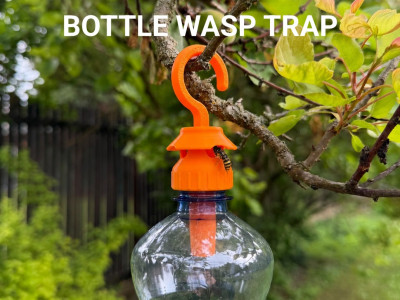 Bottle Wasp Trap 3D model
