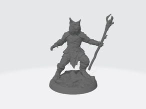 Cat Folk Druid 3D model