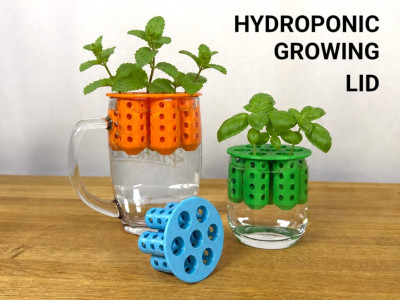 Hydroponic Growing Lid 3D model