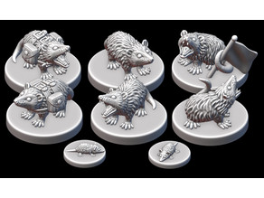 Opossums! 3D model