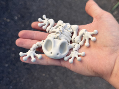 Articulated Skeleton Frog 3D model